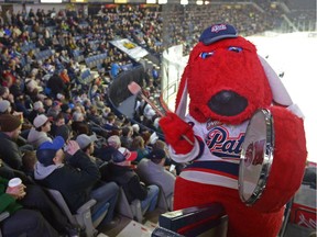 Regina Pats mascot K9 (Rollie Bourassa) routinely slides backwards down a rail while banging his drum during WHL games at the Brandt Centre.