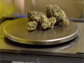 Marijuana buds being weighed on a scale.