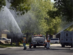 City of Regina Integrated Pest Management employees spray city tress in Wood Meadows in Regina.