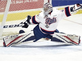 The Regina Pats will once again rely on Tyler Brown, who has been the team's workhorse in goal for the past two seasons.