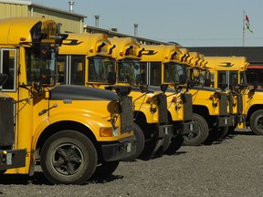 Fleet of school buses