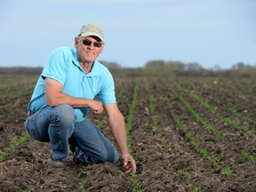 Rod Flaman in his 360 acre hemp crop.