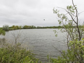 Condie Nature Refuge.