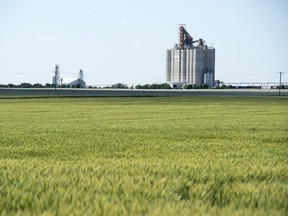 A field near Balcarres.