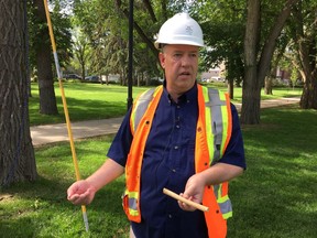 Russell Eirich, manager of forestry, pest control and horticulture, for the City of Regina, expects more wasps than usual in Regina.