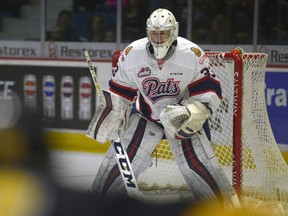 Rookie goaltender Max Paddock, shown in action last season, is looking to lock up the Regina Pats' backup job in the pre-season.