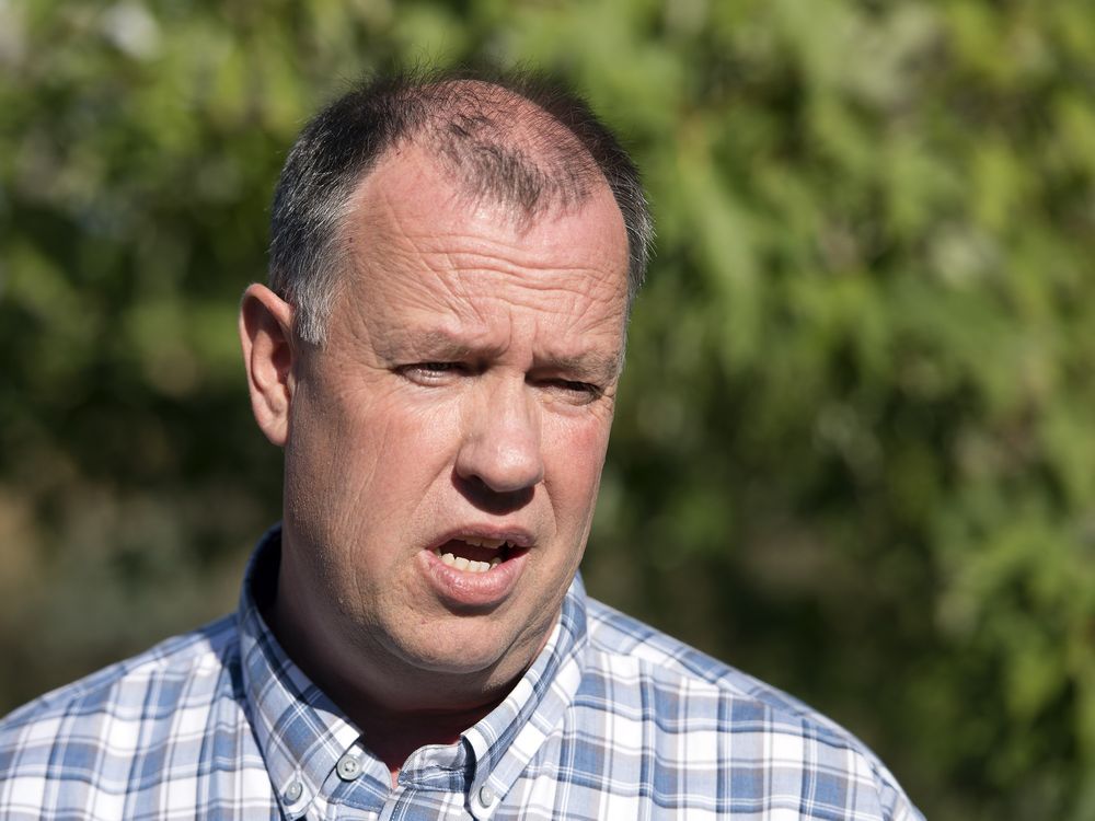 City urging residents to band trees to prevent cankerworm invasions Regina Leader Post