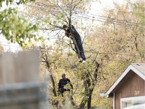 A man climbs higher into a tree after being sprayed with water in an alley near Garnet Street and 2nd Avenue.