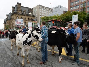 Dairy farmers take part in a protest in downtown Ottawa on Tuesday, September 29, 2015. Dozens of dairy farmers from Ontario and Quebec gathered on Parliament Hill to raise concerns about protecting Canada's supply management system.