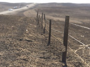 A singed fence post approximately 10 kms south of Burstall. The area suffered a wild fire on Tuesday night.