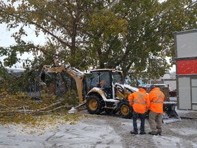 Workers in Maple Creek are dealing with downed treee branches after heavy, wet snow fell on Oct. 2, 2017.