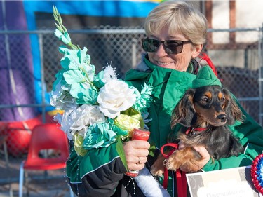 Margie Lockwood holds the first-prize dog Gunner, who had just finished winning the Dachshund racing final during the Oktoberkinderfest event at the German Club. Lockwood said the dog actually belongs to her daughter.