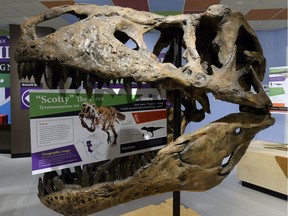 The government has introduced legislation to give the Tyrannosaurus rex the official honour of being Saskatchewan's provincial fossil.