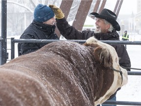 Ryan Miller, left, gets a lesson on the correct way to pet a bull from Levi Jackson, right, during an Agribition kick-off event held at City Square Plaza. Agribition 2017 runs Nov. 20-25 at Evraz Place.