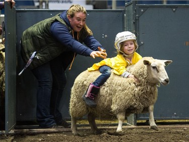 Chloe Salsman, five, of Moose Jaw takes off from the chute while participating in the Wild Wool Ride sheep riding event for kids aged five to seven during Agribitionon Saturday, Nov. 25, 2017, at the Brandt Centre.