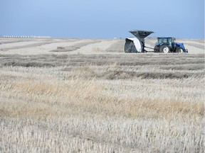 Saskatchewan's agricultural sector saw a nine-per-cent decline in jobs in October, compared with the year before.