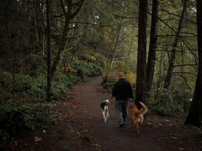 A man walks dogs in Langford, B.C., on Nov. 16, 2017.