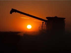A combine operates at sunset on the Saskatchewan prairie.