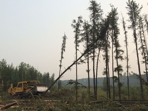 HALL LAKE, SASKATCHEWAN - Bulldozer  operator Grant Merriman clears trees at Hall Lake in northern Saskatchewan on Sunday July 12, 2015. Photo by Jason Warick/StarPhoenix
