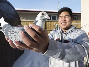 Orville Lopez holds up one of his racing pigeons. This particular bird can travel 500 kilometres at an average speed of between 70 to 80 km/h.