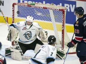 Kootenay Ice goalie Kurtis Chapman makes a save in the first period of Wednesday's WHL game against the Regina Pats at the Brandt Centre.