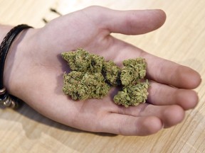 An employee at Best Buds Society holds 5 grams of marijuana in Regina. TROY FLEECE / Regina Leader-Post
TROY FLEECE, Regina Leader-Post