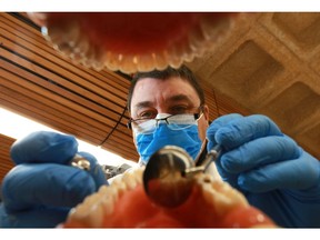 Interim Dental Clinic Director Dr. Gerry Uswak performs a mock check up at the training clinic at the University of Saskatchewan in Saskatoon on November 2, 2017.