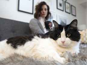 Melissa Fiacco and her cat Bruce Almighty at her home in Regina.