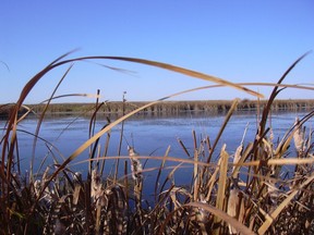 File photo of a wetland near Mortlach.