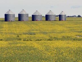 Information on crop volume, quality, and how much the farmer has in storage are all critical market signals.