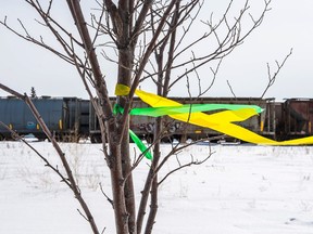 HUMBOLDT, SASK : April 13, 2018 -- Ribbons in the colours of the Humboldt Broncos such as this are tied to trees all over Humboldt following the collision that left members of the city's hockey team dead. BRANDON HARDER/ Regina Leader-Post