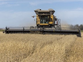 A piece of farming equipment can be seen near Zealandia Sask. on September 29, 2015.