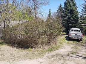 RCMP on the scene at the time of the attack that killed Robert Gardiner in May 2018.