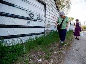 Jan Morier, centre, leads  White Pony Lodge volunteers in combing an alley in North Central for needles, weapons and other harmful objects as the group carries out one of its routine neighbourhood patrols on May 25, 2018.