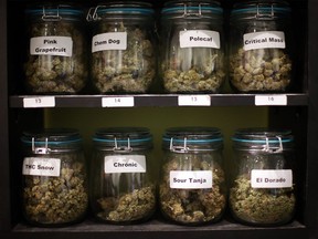 Different varieties of marijuana sit on the shelf at Best Buds Society, a medical dispensary and consulting business with operations in Saskatoon and Regina, on January 8, 2018.