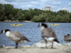 People kayak on Wascana Lake on Tuesday afternoon in Regina.