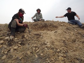 A team of paleontologists from the Canadian Museum of Nature in Ottawa is searching for mammal fossils from the Miocene period at Grasslands National Park from August 17 to 27. From left to right: Brigid Christison, Margaret Currie and Matthew Brenning.