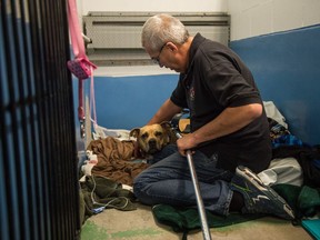 REGINA, SASK : August 16, 2018  -- Owner Lance Murphy kneels along side his dog Missty who was shot by a Regina police officer. The dog is currently being treated at the Animal Clinic of Regina on Garnet Street. BRANDON HARDER/ Regina Leader-Post