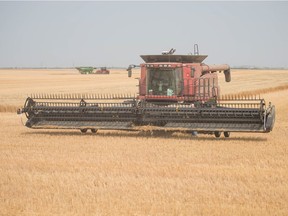 A combine sits in a field during harvest on land near Regina.