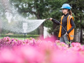 Nicole Debruyne, who works for the Provincial Capital Commission, was watering some flowers near the Legislative Building Monday following a bout of stifling summer heat. Despite the dark clouds hanging over the city for most of the day, no rain had fallen by mid afternoon.