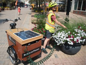 Jen Rumancik utilizes the city's new solar-assisted watering trike on Scarth Street.