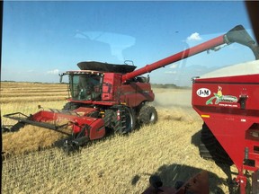 Harvest is underway for Blake Bergen at his farm in central Saskatchewan. The Lanigan-area farmer says he's about halfway done harvest for 2018, but noted moisture levels in the crops have presented challenges for area producers.