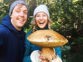 Olya Kutsiuruba and David Swab hold a brownish-white mushroom that tipped the scales at 2.92 kilograms, and measured about 36 centimetres wide across the cap in this handout photo. On a sunny Thursday last week a Vancouver couple, Kutsiuruba and Swab, had just spent a day doing what they love -- mushroom picking.