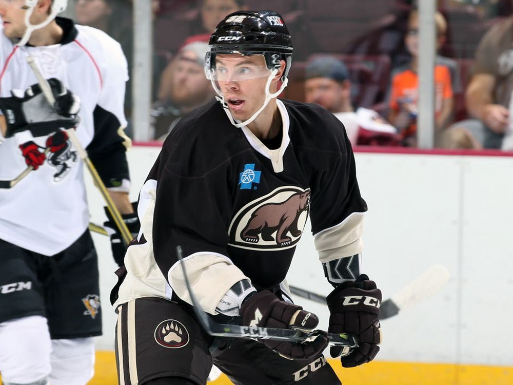 Scenes from Hershey Bears Fight Cancer Night: photos 