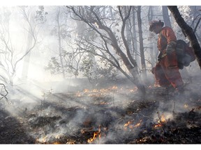 FILE - In this Nov. 23, 2015, file photo, an inmate from the Trinity River Conservation Camp watches over a prescribed burn on Mule Mountain in the Swasey Recreation Area near Redding, Calif. Creating fire buffers between housing and dry grasslands and brush and burying spark-prone power lines underground would give people a better chance of surviving wildfires, experts say. So would controlled burns, a proven, historic practice that has been neglected in recent decades.