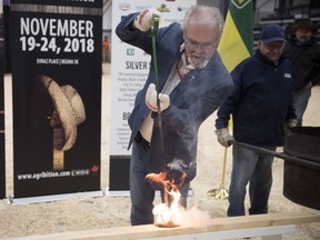 Gerry Ritz, former federal agriculture minister, shown burning the brand at Canadian Western Agribition on Nov. 19, 2018 in Regina. TROY FLEECE / Regina Leader-Post