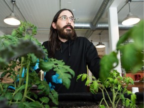 Chad Bonin, master grower for The Grow Room, a shop that sells cannabis growing supplies, stands behind some of his non-cannabis plants at the 12th Avenue location.