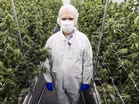 Neil Closner, CEO of MedReleaf, which has agreed to supply medical cannabis to Shoppers Drug Mart. Shoppers is paying for specialists to teach doctors about prescribing marijuana, a controversial practice common in the pharmaceutical industry.