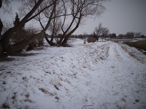 The area behind the 5000 block of Sherwood Drive where Promise "Max" Chukwudum was found deceased on the evening of December 21.