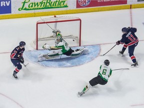 The Regina Pats' Carter Massier scores his first WHL goal on Prince Albert Raiders netminder Ian Scott during WHL action at the Brandt Centre on Saturday.